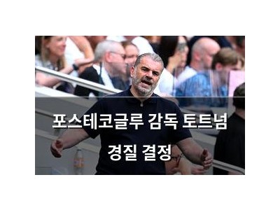 포스테코글루 감독 토트넘 경질 결정